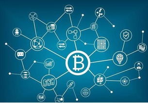 智慧猫模式系统开发与网络技术融合的创新实践