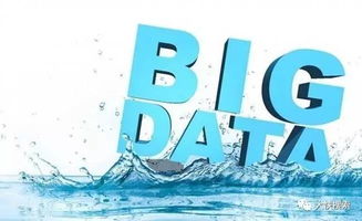 大快搜索与宇信科技强强联手，共筑网络技术开发新未来